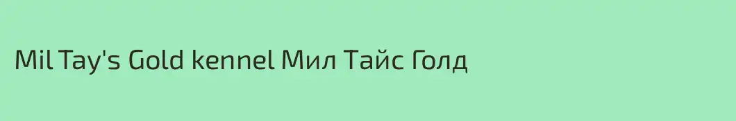 Мil Tay's Gold kennel Мил Тайс Голд